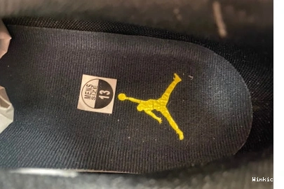Jordan 17 Low Air FJ0395-100 “Lightning” 0928